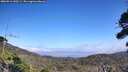 ./images/calvert/fitz-hugh-hecate/20260916/fitz-hugh-hecate20260916_140501M.jpg