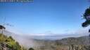 ./images/calvert/fitz-hugh-hecate/20260916/fitz-hugh-hecate20260916_143001M.jpg