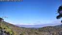./images/calvert/fitz-hugh-hecate/20260916/fitz-hugh-hecate20260916_144001M.jpg