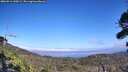 ./images/calvert/fitz-hugh-hecate/20260916/fitz-hugh-hecate20260916_145001M.jpg