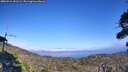 ./images/calvert/fitz-hugh-hecate/20260916/fitz-hugh-hecate20260916_151501M.jpg