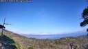 ./images/calvert/fitz-hugh-hecate/20260916/fitz-hugh-hecate20260916_152502M.jpg