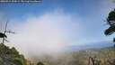 ./images/calvert/fitz-hugh-hecate/20260916/fitz-hugh-hecate20260916_154501M.jpg