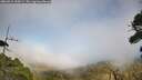 ./images/calvert/fitz-hugh-hecate/20260916/fitz-hugh-hecate20260916_155001M.jpg