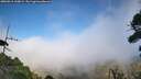 ./images/calvert/fitz-hugh-hecate/20260916/fitz-hugh-hecate20260916_160002M.jpg