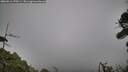 ./images/calvert/fitz-hugh-hecate/20260916/fitz-hugh-hecate20260916_175501M.jpg