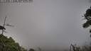 ./images/calvert/fitz-hugh-hecate/20260916/fitz-hugh-hecate20260916_180002M.jpg