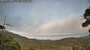 ./images/calvert/fitz-hugh-hecate/20260916/fitz-hugh-hecate20260916_184502M.jpg