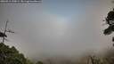 ./images/calvert/fitz-hugh-hecate/20260916/fitz-hugh-hecate20260916_190001M.jpg