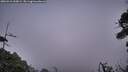 ./images/calvert/fitz-hugh-hecate/20260916/fitz-hugh-hecate20260916_200001M.jpg