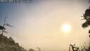 ./images/calvert/fitz-hugh-hecate/20260917/fitz-hugh-hecate20260917_080001M.jpg