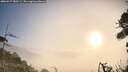 ./images/calvert/fitz-hugh-hecate/20260917/fitz-hugh-hecate20260917_080501M.jpg