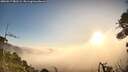 ./images/calvert/fitz-hugh-hecate/20260917/fitz-hugh-hecate20260917_081501M.jpg