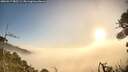 ./images/calvert/fitz-hugh-hecate/20260917/fitz-hugh-hecate20260917_082501M.jpg