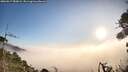 ./images/calvert/fitz-hugh-hecate/20260917/fitz-hugh-hecate20260917_083001M.jpg