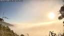 ./images/calvert/fitz-hugh-hecate/20260917/fitz-hugh-hecate20260917_084001M.jpg
