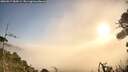 ./images/calvert/fitz-hugh-hecate/20260917/fitz-hugh-hecate20260917_084501M.jpg