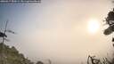 ./images/calvert/fitz-hugh-hecate/20260917/fitz-hugh-hecate20260917_085001M.jpg