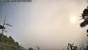 ./images/calvert/fitz-hugh-hecate/20260917/fitz-hugh-hecate20260917_085501M.jpg