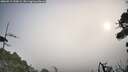 ./images/calvert/fitz-hugh-hecate/20260917/fitz-hugh-hecate20260917_090002M.jpg