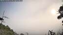 ./images/calvert/fitz-hugh-hecate/20260917/fitz-hugh-hecate20260917_091001M.jpg