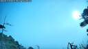 ./images/calvert/fitz-hugh-hecate/20260917/fitz-hugh-hecate20260917_092001M.jpg