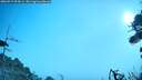 ./images/calvert/fitz-hugh-hecate/20260917/fitz-hugh-hecate20260917_094501M.jpg