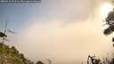 ./images/calvert/fitz-hugh-hecate/20260917/fitz-hugh-hecate20260917_101001M.jpg