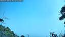 ./images/calvert/fitz-hugh-hecate/20260917/fitz-hugh-hecate20260917_120001M.jpg