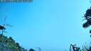 ./images/calvert/fitz-hugh-hecate/20260917/fitz-hugh-hecate20260917_120501M.jpg