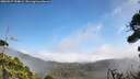 ./images/calvert/fitz-hugh-hecate/20260917/fitz-hugh-hecate20260917_124001M.jpg