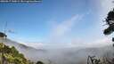 ./images/calvert/fitz-hugh-hecate/20260917/fitz-hugh-hecate20260917_130002M.jpg