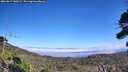 ./images/calvert/fitz-hugh-hecate/20260917/fitz-hugh-hecate20260917_140501M.jpg