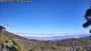 ./images/calvert/fitz-hugh-hecate/20260917/fitz-hugh-hecate20260917_141501M.jpg