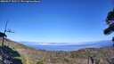./images/calvert/fitz-hugh-hecate/20260917/fitz-hugh-hecate20260917_153501M.jpg