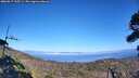 ./images/calvert/fitz-hugh-hecate/20260917/fitz-hugh-hecate20260917_155501M.jpg