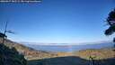 ./images/calvert/fitz-hugh-hecate/20260917/fitz-hugh-hecate20260917_182501M.jpg
