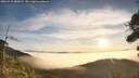 ./images/calvert/fitz-hugh-hecate/20260918/fitz-hugh-hecate20260918_080001M.jpg
