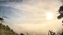 ./images/calvert/fitz-hugh-hecate/20260918/fitz-hugh-hecate20260918_083001M.jpg