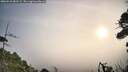 ./images/calvert/fitz-hugh-hecate/20260918/fitz-hugh-hecate20260918_083501M.jpg