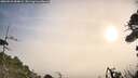 ./images/calvert/fitz-hugh-hecate/20260918/fitz-hugh-hecate20260918_084002M.jpg