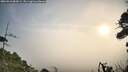 ./images/calvert/fitz-hugh-hecate/20260918/fitz-hugh-hecate20260918_084501M.jpg