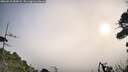 ./images/calvert/fitz-hugh-hecate/20260918/fitz-hugh-hecate20260918_085001M.jpg