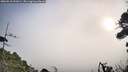 ./images/calvert/fitz-hugh-hecate/20260918/fitz-hugh-hecate20260918_091001M.jpg