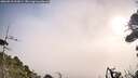 ./images/calvert/fitz-hugh-hecate/20260918/fitz-hugh-hecate20260918_092001M.jpg