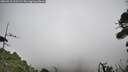 ./images/calvert/fitz-hugh-hecate/20260918/fitz-hugh-hecate20260918_121501M.jpg