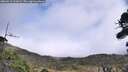 ./images/calvert/fitz-hugh-hecate/20260918/fitz-hugh-hecate20260918_133002M.jpg