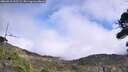 ./images/calvert/fitz-hugh-hecate/20260918/fitz-hugh-hecate20260918_133501M.jpg