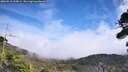 ./images/calvert/fitz-hugh-hecate/20260918/fitz-hugh-hecate20260918_135001M.jpg
