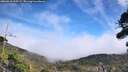 ./images/calvert/fitz-hugh-hecate/20260918/fitz-hugh-hecate20260918_135501M.jpg